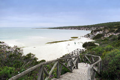 Wooden boardwalk leading down to the white sands and calm lagoon waters of Preekstoel Beach in West Coast National Park.