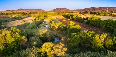 Aerial view of lush wetlands, small ponds and tree-lined valleys within the Cradle of Humankind World Heritage Site, surrounded by rolling hills northwest of Johannesburg, South Africa.