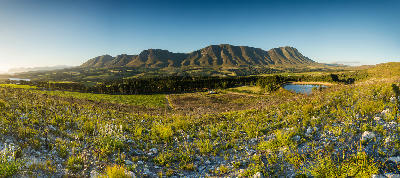 Panoramic view of vineyards and mountain ridges in Hemel-en-Aarde Valley near Hermanus, Western Cape, South Africa.