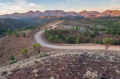 Winding dirt road crossing a rocky ridge at Razorback Lookout, with green native trees and sunlit Flinders Ranges mountains in the distance, South Australia.