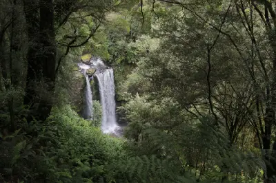 Hopetoun Falls viewed through dense temperate rainforest and ferns in Great Otway National Park, Victoria.