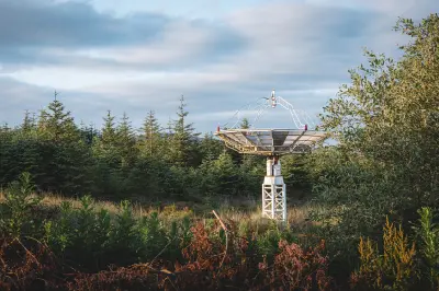 Radio telescope dish rising above dense conifers and summer vegetation at Kielder Observatory in Northumberland, England.
