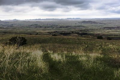 Sage Creek prairie landscape Badlands South Dakota