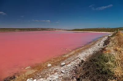 Pink waters of Hutt Lagoon beside the salt-crusted shoreline near Port Gregory.