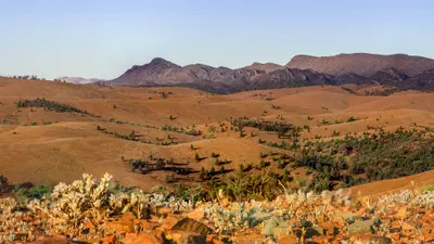 Panoramic view of Bunyeroo Valley in the Flinders Ranges, South Australia, showing rolling ochre hills, scattered trees and rugged mountain ridges beneath a clear sky.