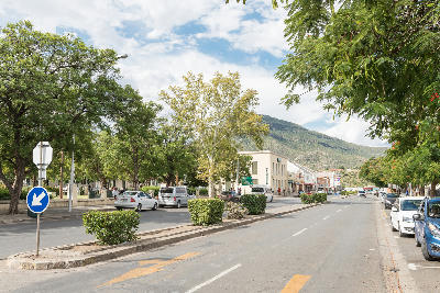 Tree-lined street in Graaff-Reinet with mountain slopes rising behind the historic Karoo town.