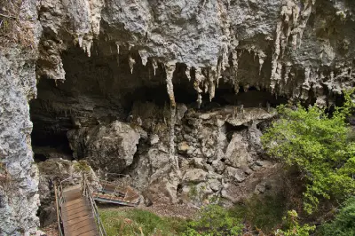 Limestone cave exit and visitor walkway surrounded by forest at Mammoth Cave near Margaret River, Western Australia.