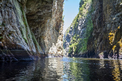 Storms River Gorge in Tsitsikamma National Park with steep rocky cliffs and calm river water flowing through a narrow canyon in South Africa.