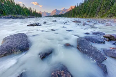 Athabasca River flowing over rocks with mountain peaks and forest in the background