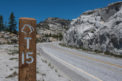 Wooden trail marker post next to Tioga Pass Road with granite rock formations and pine forest in Yosemite National Park, California.
