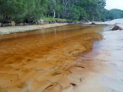 Tea-coloured water flows through shallow Green Patch Creek between pale sandbanks and dense coastal forest.