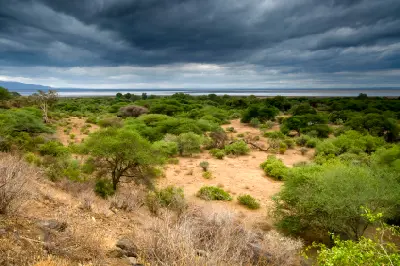 Storm clouds over the groundwater forest and shoreline of Lake Manyara in Lake Manyara National Park, with lush acacia woodland and the Great Rift Valley beyond.
