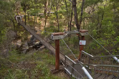 Suspension bridge crossing Beedelup Brook on the walking trail at Beedelup Falls near Pemberton, Western Australia.