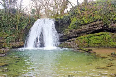 Front view of Janet's Foss waterfall flowing into a shallow green pool surrounded by moss-covered limestone rocks and woodland near Malham, North Yorkshire.