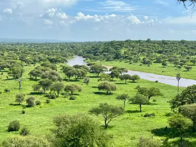 Elevated view of the Tarangire River meandering through green savanna and acacia woodland in Tarangire National Park, Tanzania.