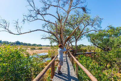 Visitor standing on a raised viewing walkway overlooking the Olifants River in Kruger National Park, South Africa.