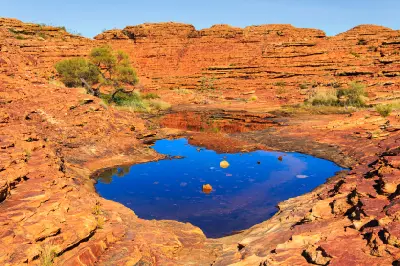Rocky landscape at Kings Canyon in Watarrka National Park, Northern Territory, Australia, with glowing orange sandstone cliffs, a natural water pool and sparse outback vegetation under a clear blue sky.