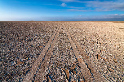 Vehicle tracks crossing the white salt crust of the Makgadikgadi Pans in Botswana.