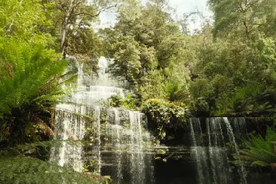 Russell Falls flowing over tiered rock ledges surrounded by dense green rainforest in Mount Field National Park, Tasmania.