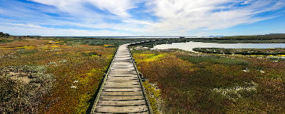 Wooden boardwalk crossing the tidal wetlands of Langebaan Lagoon toward Geelbek Bird Hide in West Coast National Park, South Africa.