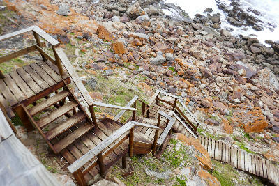Wooden hiking stairs leading down a rocky coastline in Robberg Nature Reserve, South Africa.