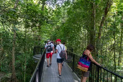 Several tourists walk along a winding metal-railed footbridge deep within the lush green foliage of the Daintree Rainforest.