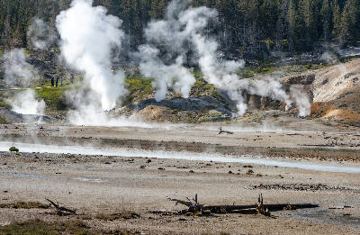 Steam rising from geothermal vents and barren ground at Norris Geyser Basin in Yellowstone National Park, Wyoming.