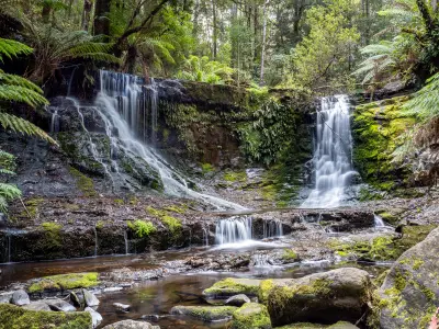Horseshoe Falls flowing over moss-covered rock ledges surrounded by tree ferns and temperate rainforest in Mount Field National Park, Tasmania.