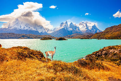 Lago Pehoé with turquoise water and Cuernos del Paine mountains in Patagonia Chile.