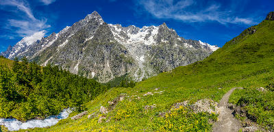 Mountain slopes and forest with a trail leading toward the Mont Blanc massif in the Chamonix Valley, France.