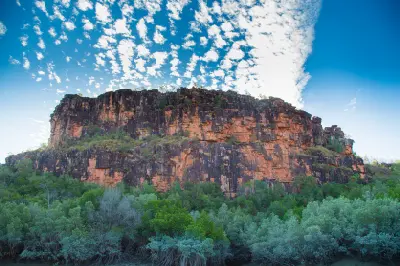 Layered sandstone cliffs rise above dense mangroves along the Hunter River in the Kimberley.