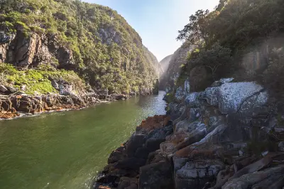 Storms River winding through the rocky Storms River Gorge beneath forested cliffs in Tsitsikamma National Park, South Africa.