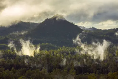 Mist drifting through forested mountains in Franklin-Gordon Wild Rivers National Park, Tasmania.