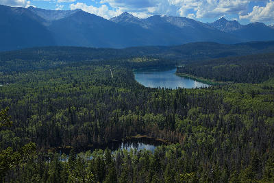 Patricia Lake from above with forested valley and mountain range in the background