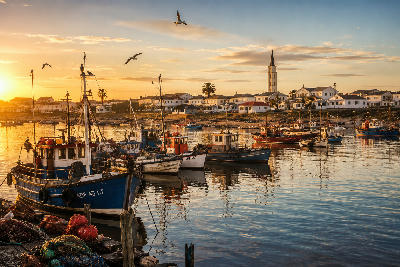 Fishing boats moored in a sheltered harbour at sunset with reflections on calm water, seabirds overhead and a coastal village in the background.