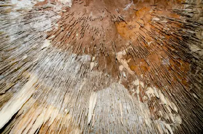 Dense clusters of long, slender straw stalactites hanging from the limestone ceiling inside Lake Cave near Margaret River.