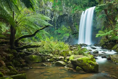 Hopetoun Falls cascading into the Aire River among mossy boulders and tree ferns in Great Otway National Park, Victoria.