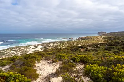 Coastal landscape at Seal Bay, Kangaroo Island, showing the wooden visitor boardwalk, sandy dunes, green vegetation and turquoise ocean.