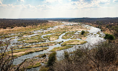 Braided channels of the Olifants River flowing through dry savanna woodland in Kruger National Park, South Africa.