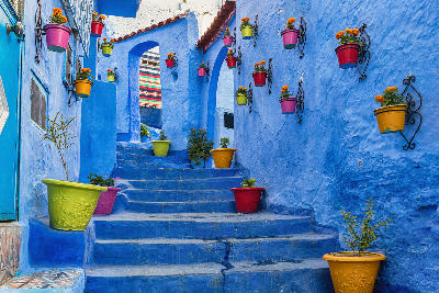 Blue-painted staircase and colorful flower pots in the medina of Chefchaouen, Morocco