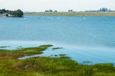 Yachts anchored on Midmar Dam beside reed-fringed wetlands and open water near Howick in KwaZulu-Natal.