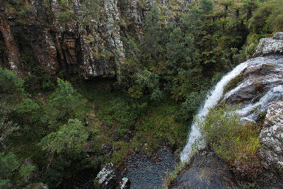 View from the top of Mac Mac Falls looking over the waterfall edge into a forested gorge near Graskop, Mpumalanga, South Africa.