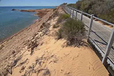 Boardwalk follows the sandy cliffs above the blue waters of Shark Bay at Eagle Bluff.