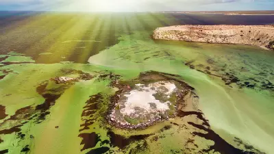 Aerial view of Eagle Bluff surrounded by green shallows, seagrass beds and small offshore islands in Shark Bay.