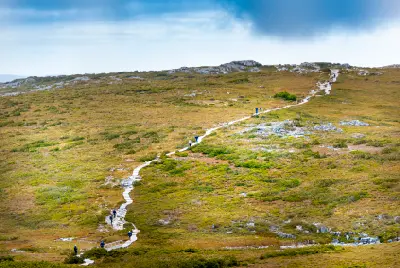 Hikers on the Overland Track boardwalk crossing alpine moorland near Cradle Mountain in Tasmania, Australia.