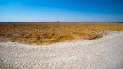 Open grasslands and cracked pan stretching across Deception Valley in the Central Kalahari Game Reserve, Botswana.