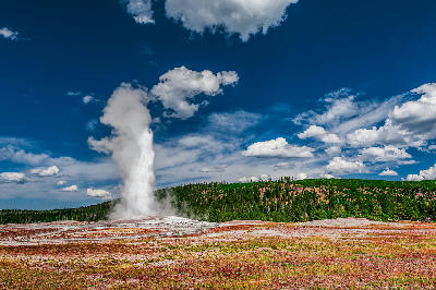 Old Faithful geyser eruption Yellowstone National Park Wyoming wide landscape steam plume blue sky
