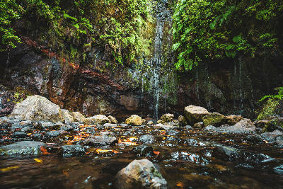 Thin waterfalls trickling over mossy rocks into the stream at 25 Fontes in the Rabaçal valley on Madeira Island, Portugal.