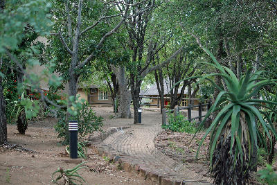 Tree-lined pathway and accommodation buildings at Letaba Rest Camp in Kruger National Park surrounded by mature riverine vegetation.