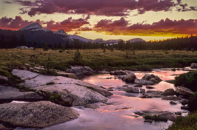 alpine meadow and granite stream in Tuolumne Meadows Yosemite